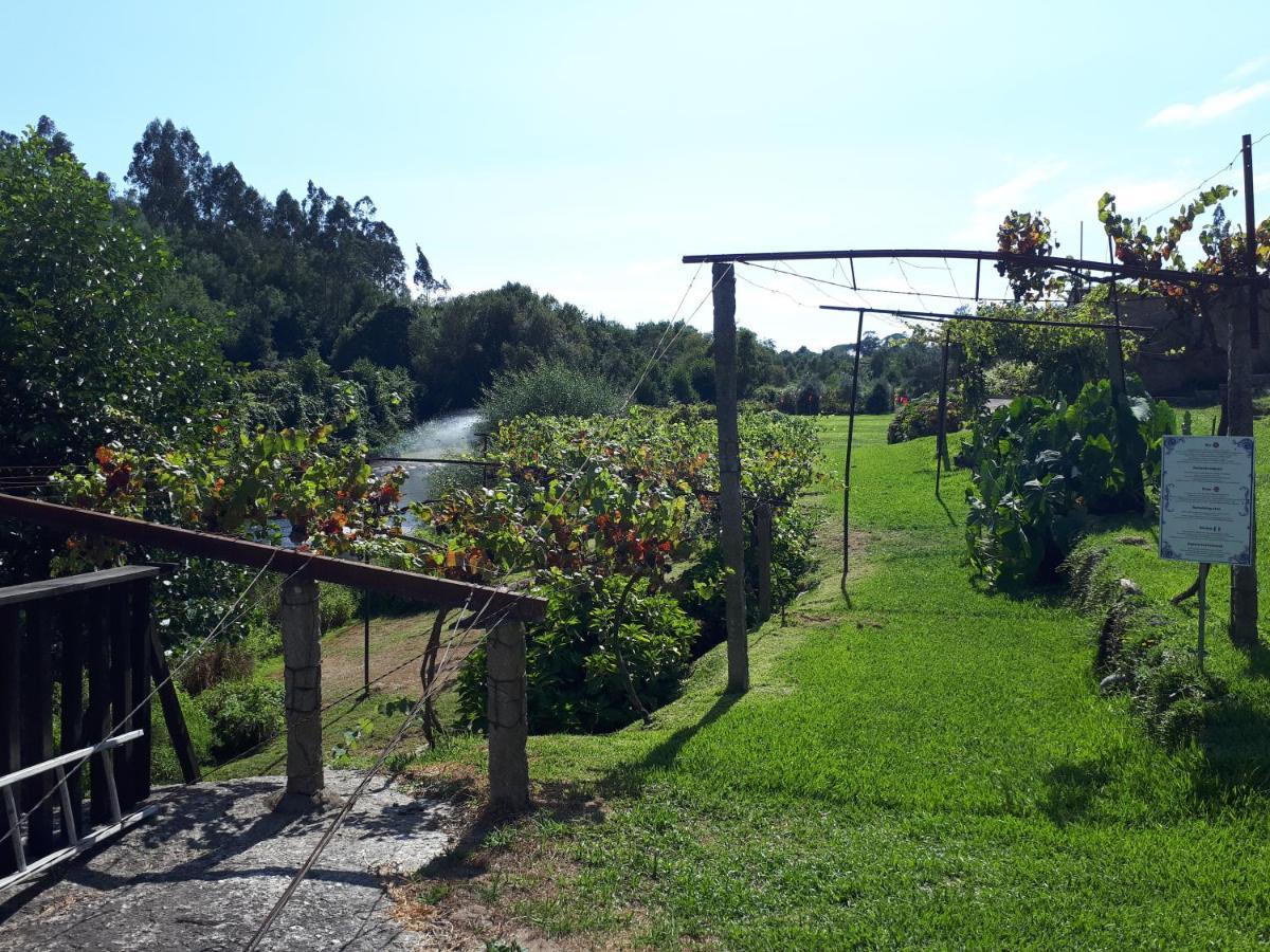 Dream Corner By Waterfalls, 20 Min To Oporto, By Porto With Love Lda Parada  Экстерьер фото